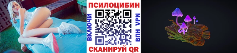 наркота  Красный Холм  Галлюциногенные грибы прущие грибы 